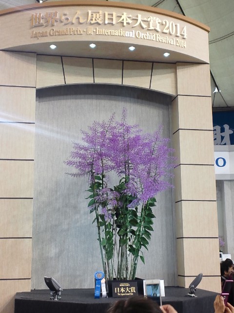 �܂邶��@�܂邶��@����܂���