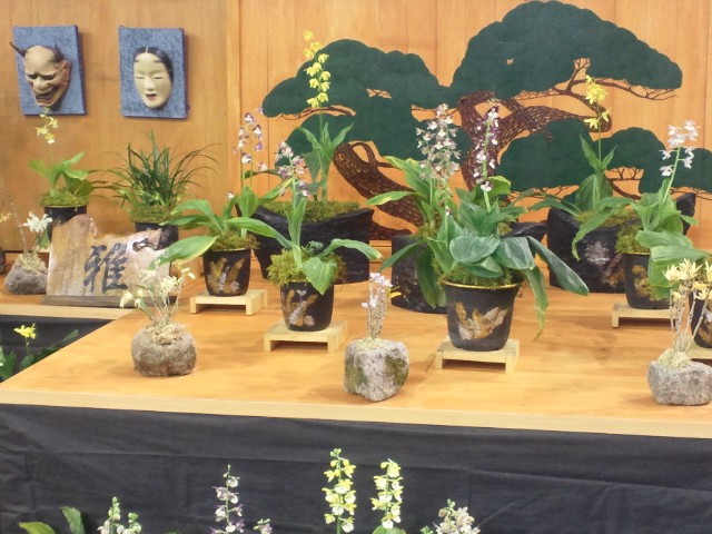 �܂邶��@�܂邶��@����܂���