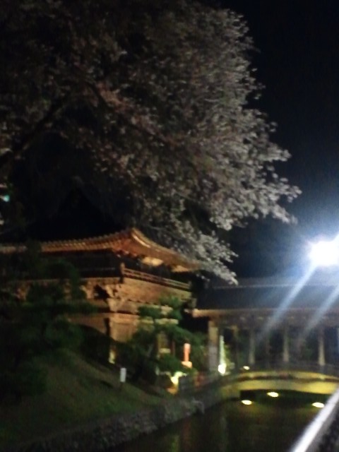 �܂邶��@�܂邶��@����܂���