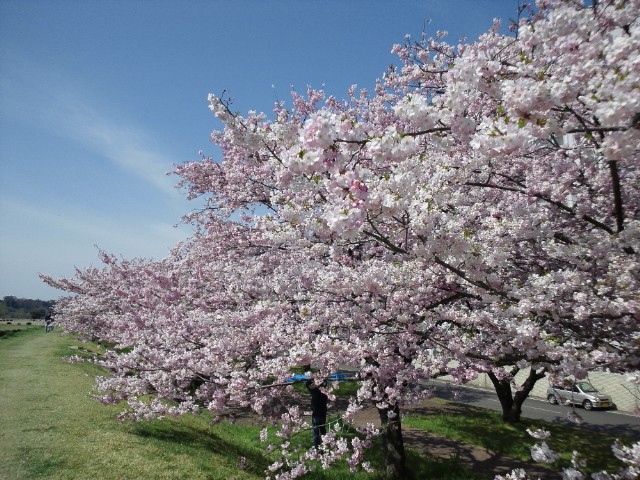 �܂邶��@�܂邶��@����܂���