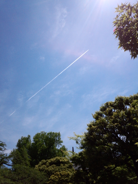 �܂邶��@�܂邶��@����܂���