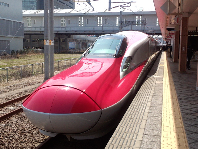 �܂邶��@�܂邶��@����܂���