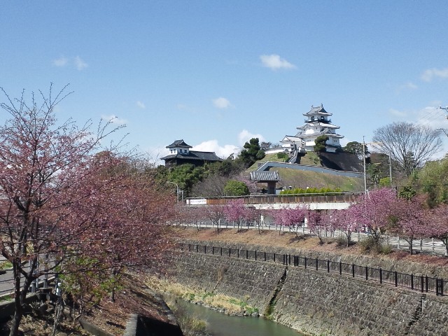 �܂邶��@�܂邶��@����܂���