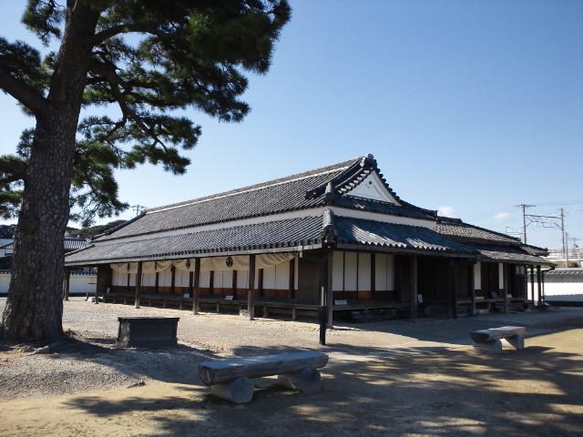 �܂邶��@�܂邶��@����܂���