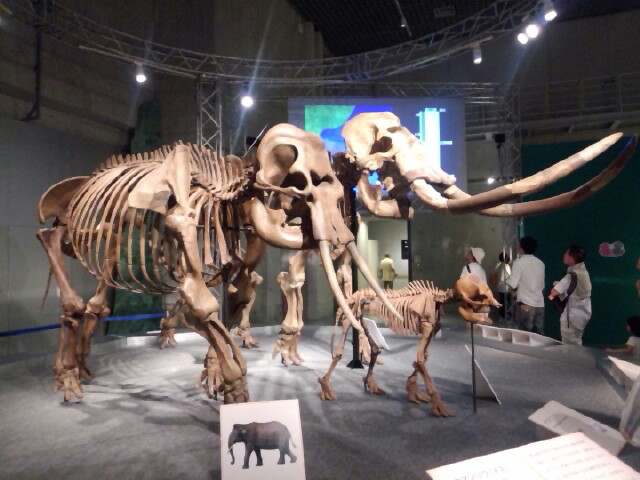 �܂邶��@�܂邶��@����܂���