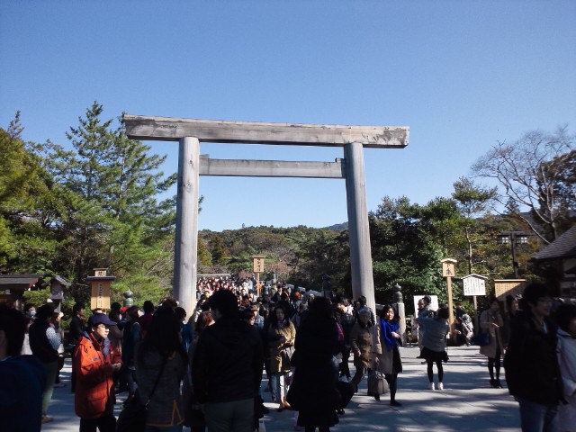 �܂邶��@�܂邶��@����܂���