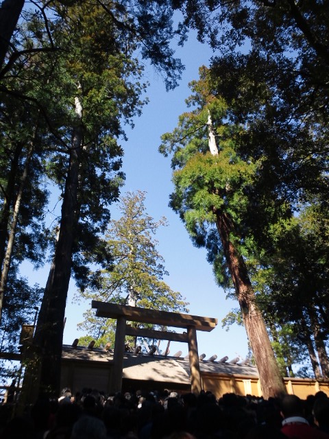 �܂邶��@�܂邶��@����܂���