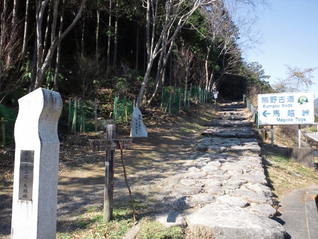 �܂邶��@�܂邶��@����܂���