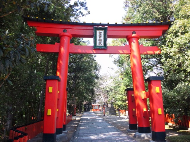 �܂邶��@�܂邶��@����܂���