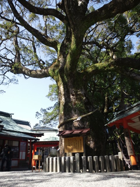 �܂邶��@�܂邶��@����܂���