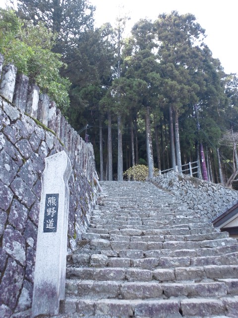 �܂邶��@�܂邶��@����܂���