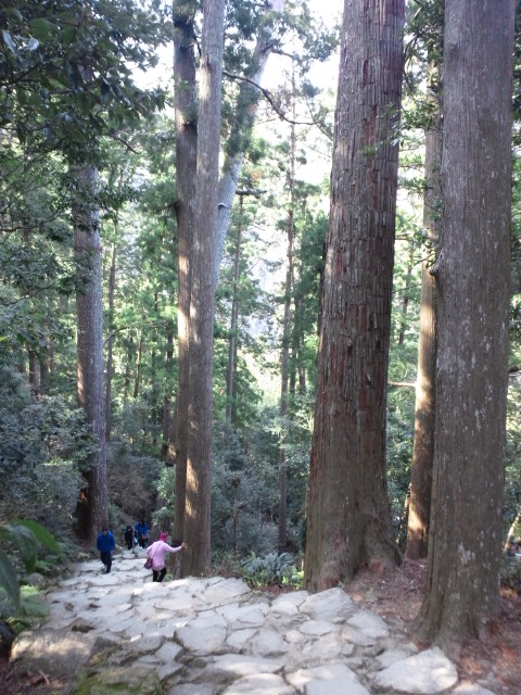 �܂邶��@�܂邶��@����܂���