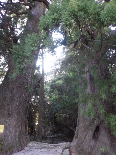 �܂邶��@�܂邶��@����܂���