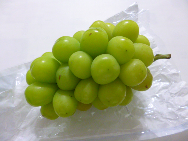 �܂邶��@�܂邶��@����܂���