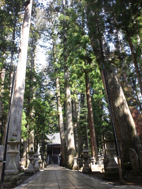 �܂邶��@�܂邶��@����܂���