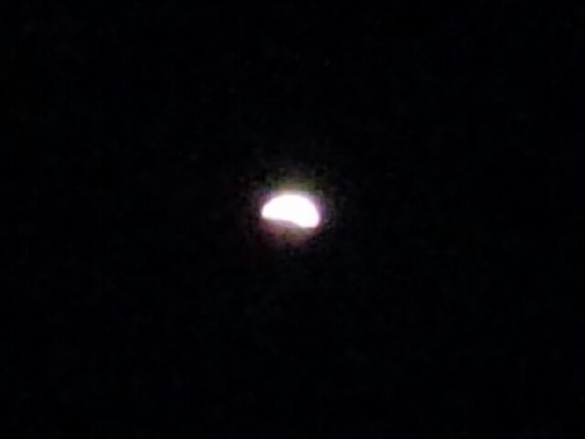 �܂邶��@�܂邶��@����܂���