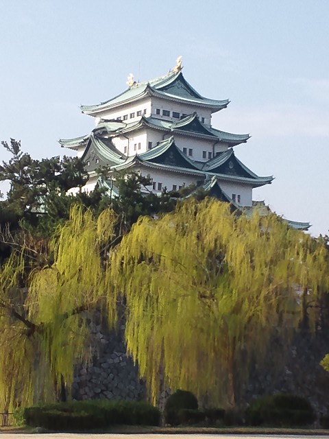 �܂邶��@�܂邶��@����܂���