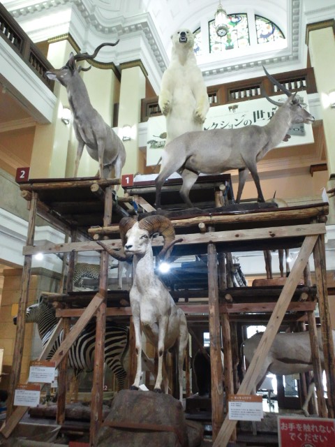 �܂邶��@�܂邶��@����܂���