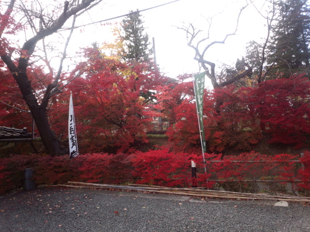 �܂邶��@�܂邶��@����܂���