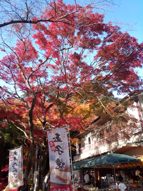 �܂邶��@�܂邶��@����܂���