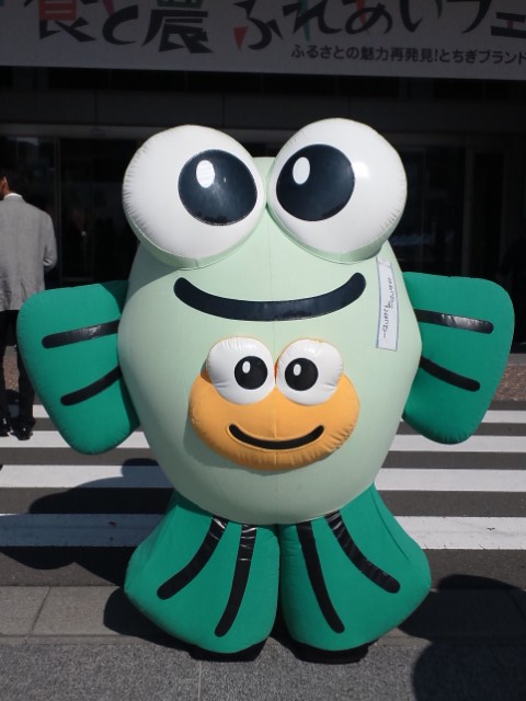 �܂邶��@�܂邶��@����܂���