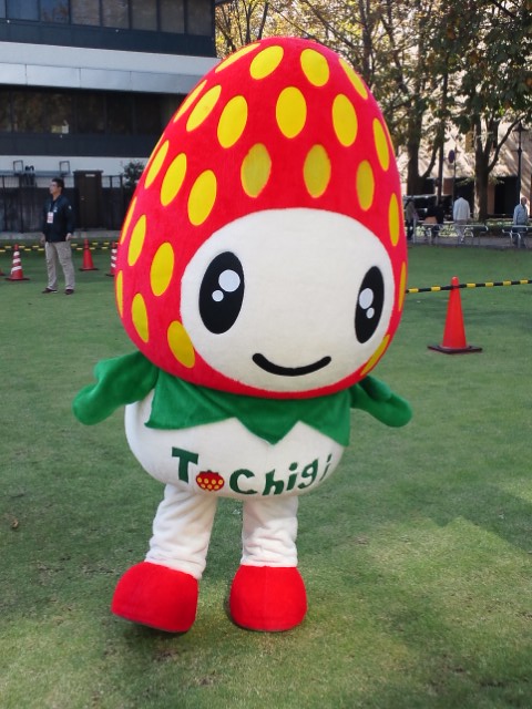 �܂邶��@�܂邶��@����܂���