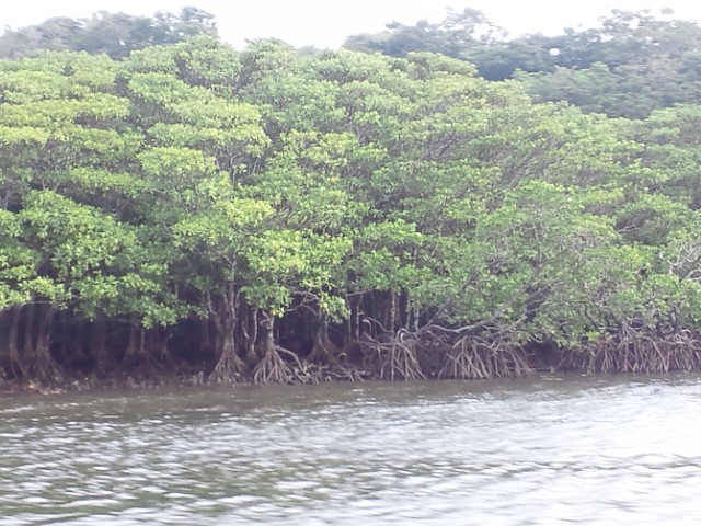 �܂邶��@�܂邶��@����܂���