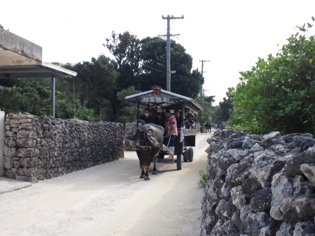 �܂邶��@�܂邶��@����܂���