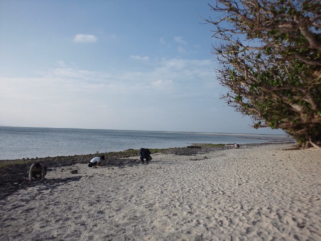 �܂邶��@�܂邶��@����܂���