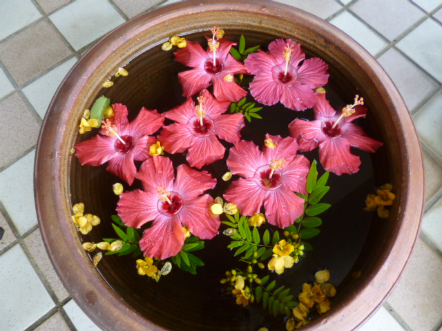 �܂邶��@�܂邶��@����܂���