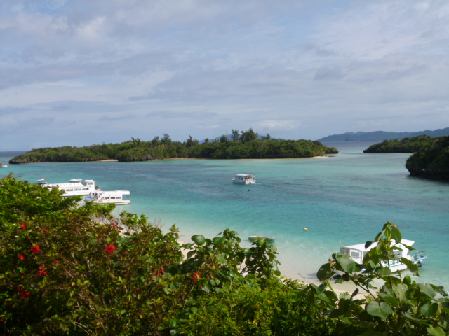 �܂邶��@�܂邶��@����܂���