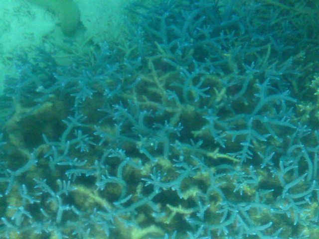 �܂邶��@�܂邶��@����܂���