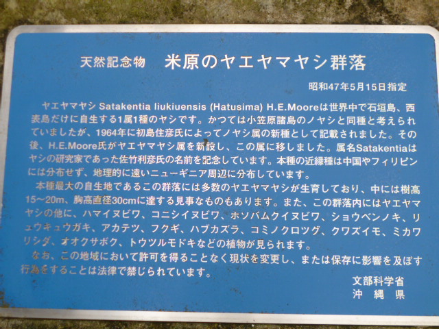 �܂邶��@�܂邶��@����܂���