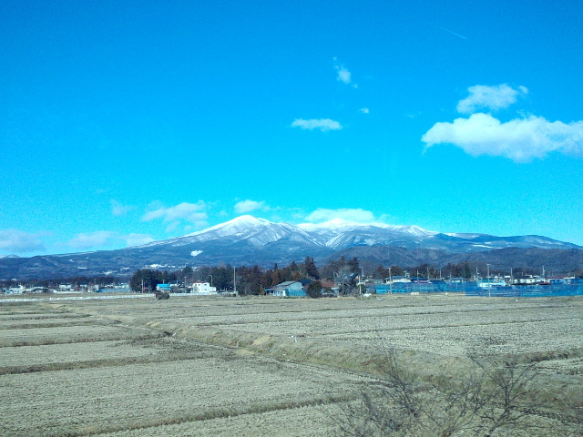 �܂邶��@�܂邶��@����܂���