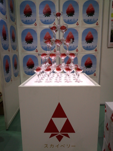 �܂邶��@�܂邶��@����܂���