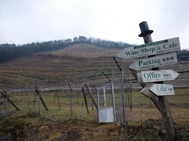 �܂邶��@�܂邶��@����܂���