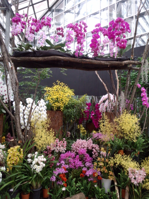 �܂邶��@�܂邶��@����܂���