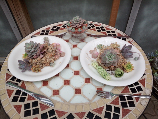 �܂邶��@�܂邶��@����܂���