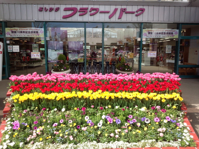 �܂邶��@�܂邶��@����܂���