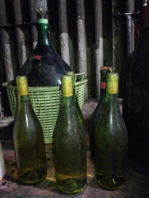 �܂邶��@�܂邶��@����܂���