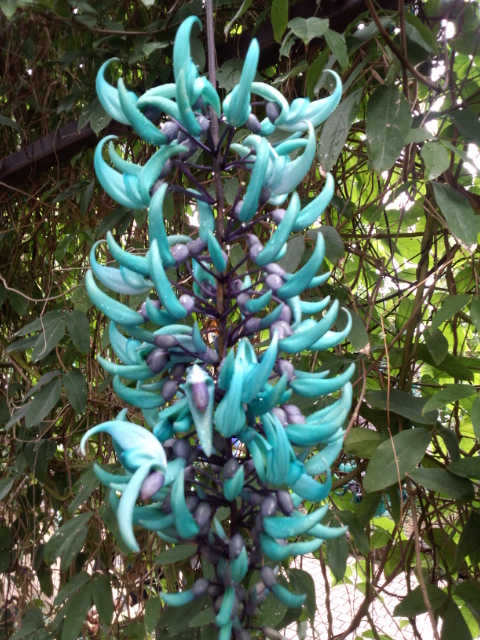 �܂邶��@�܂邶��@����܂���