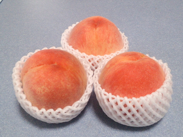 �܂邶��@�܂邶��@����܂���