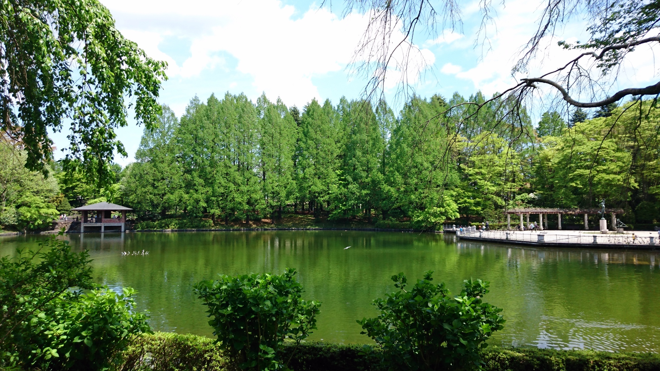 �܂邶��@�܂邶��@����܂���