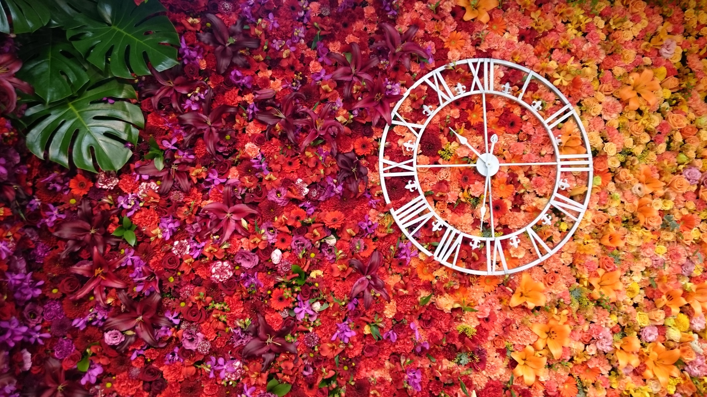 �܂邶��@�܂邶��@����܂���