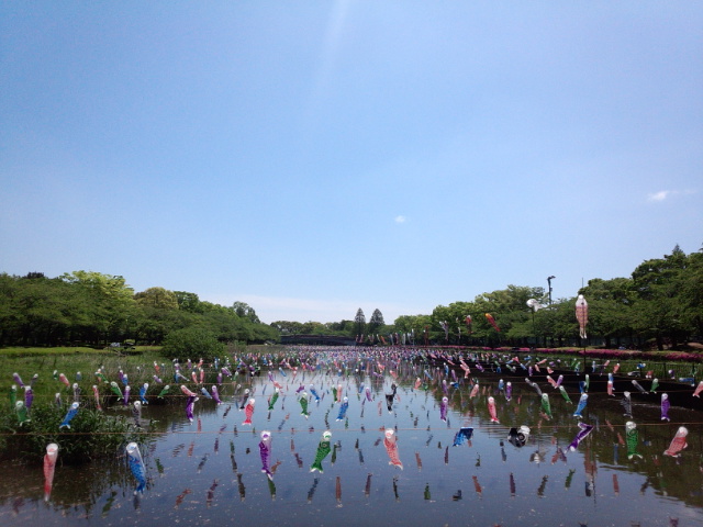 �܂邶��@�܂邶��@����܂���