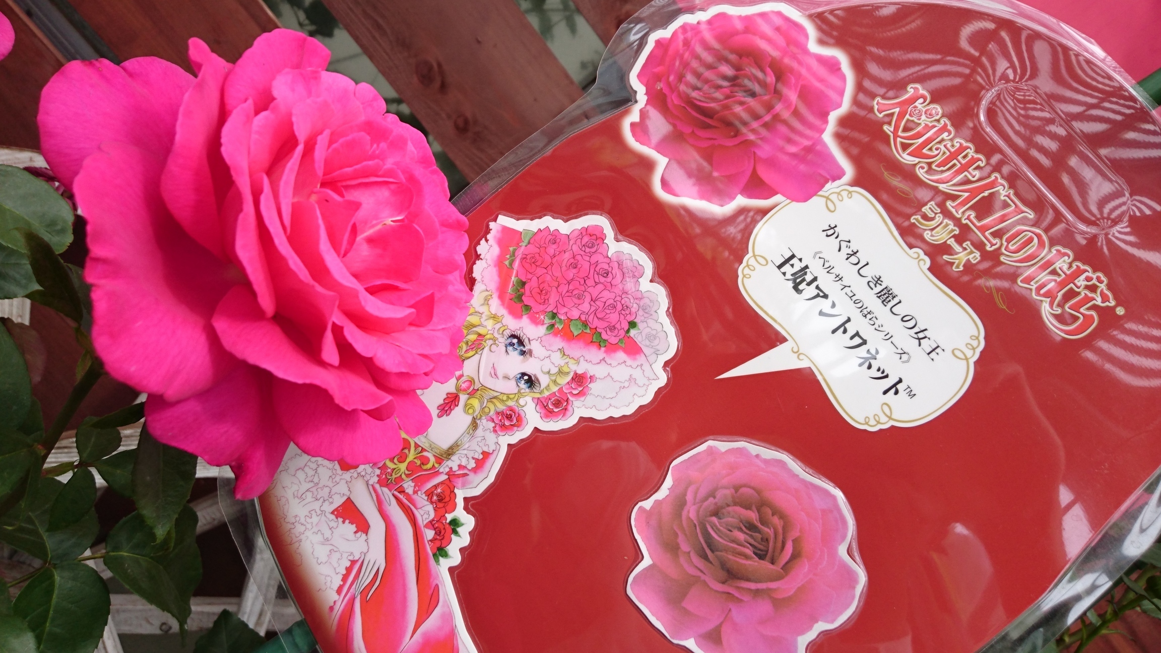 �܂邶��@�܂邶��@����܂���