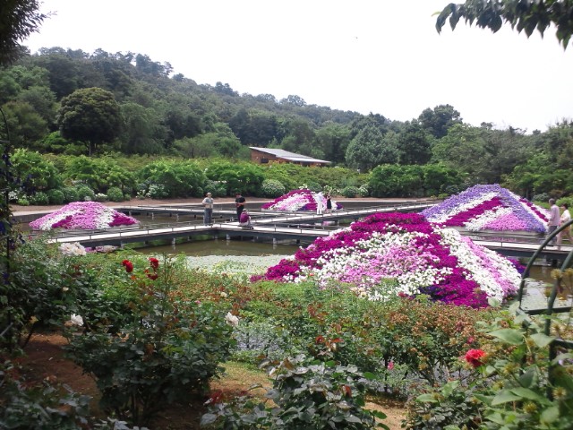 �܂邶��@�܂邶��@����܂���