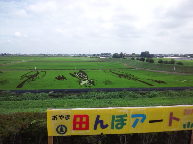 �܂邶��@�܂邶��@����܂���