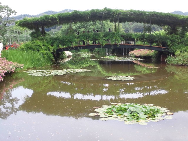 �܂邶��@�܂邶��@����܂���