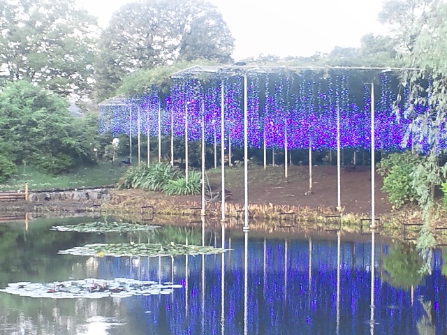 �܂邶��@�܂邶��@����܂���